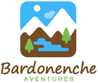 bardonenche.com