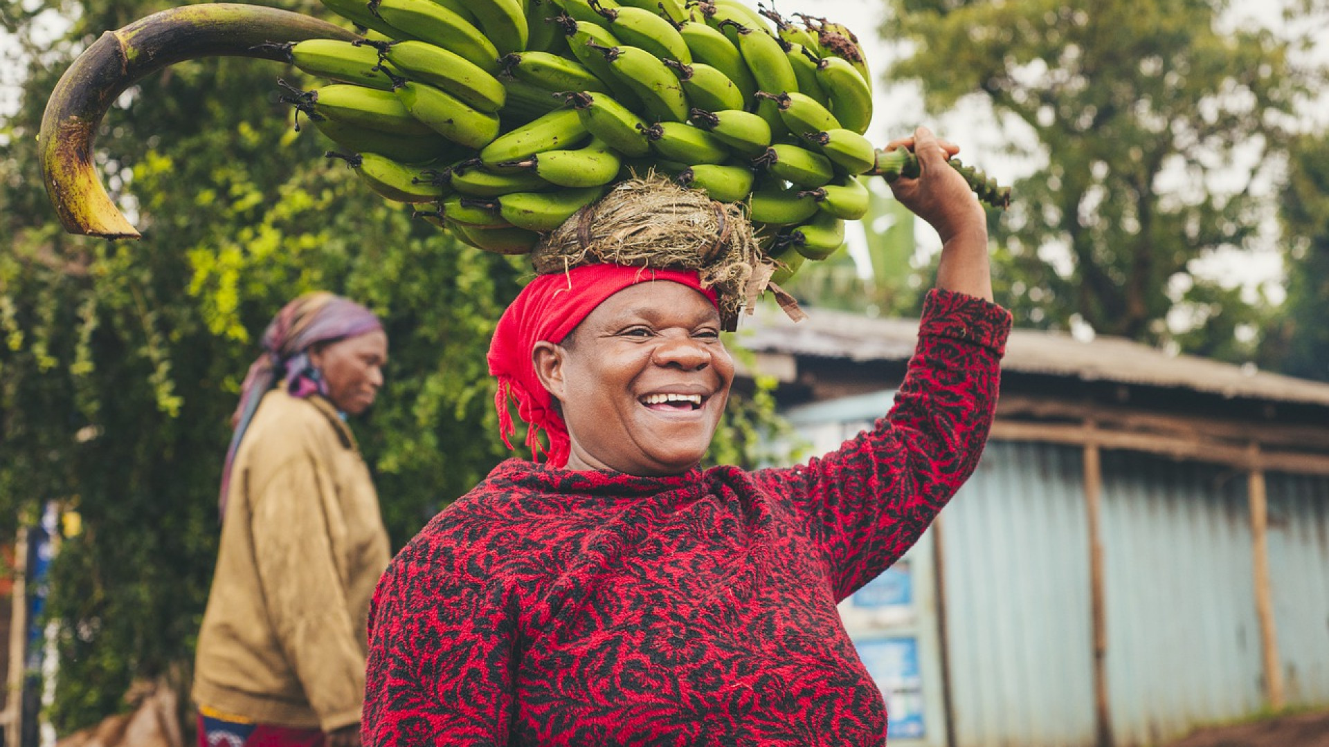 Comment préparer son voyage pour la Tanzanie ?