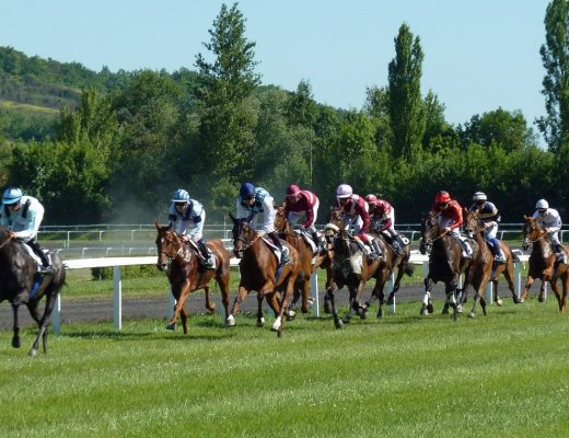 Assister à des courses hippiques à l'hippodrome d'Alençon