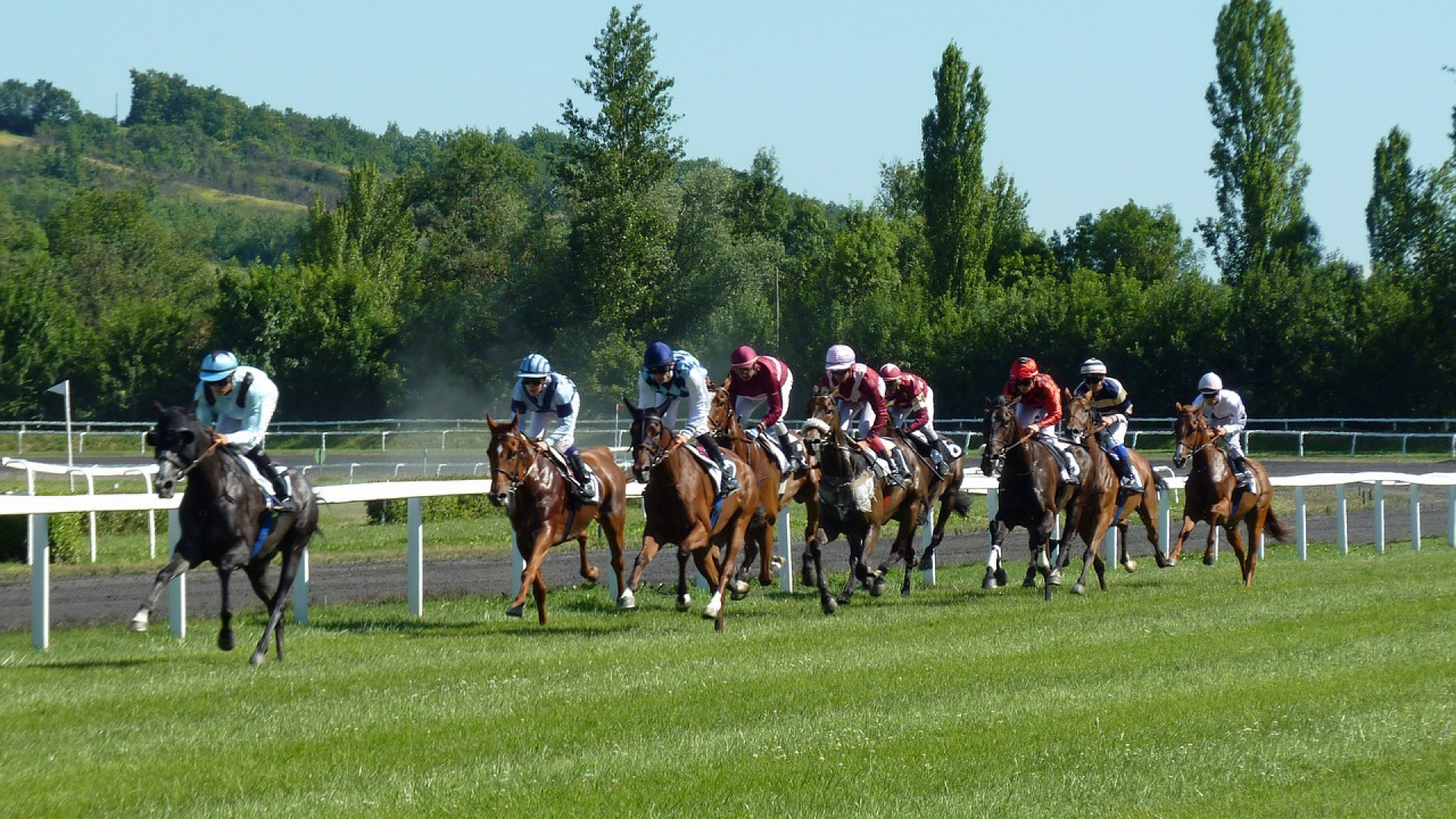 Assister à des courses hippiques à l'hippodrome d'Alençon