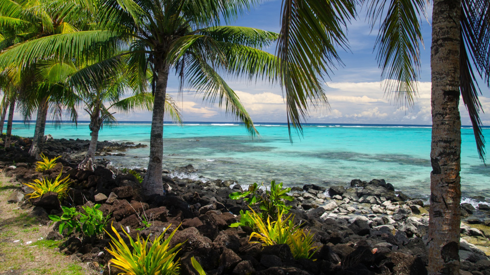 Découvrez l'île Maurice : un voyage inoubliable